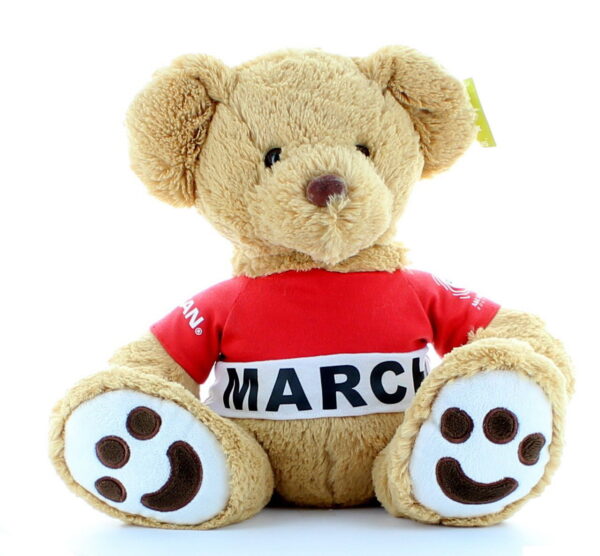 12 INCH Nissan Series Sitting Teddy Bear With Customized T-Shirt