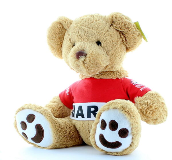 12 INCH Nissan Series Sitting Teddy Bear With Customized T-Shirt - 图片 2