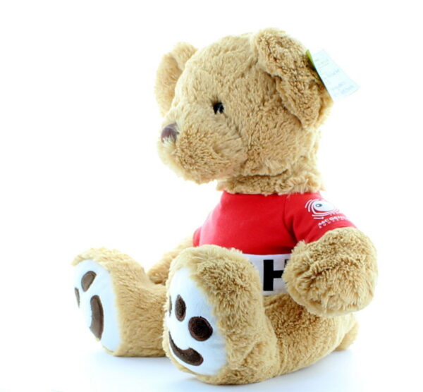 12 INCH Nissan Series Sitting Teddy Bear With Customized T-Shirt - 图片 3