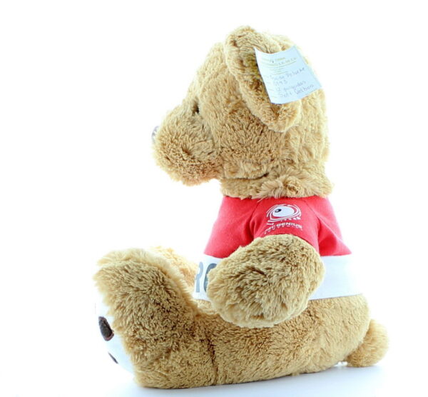 12 INCH Nissan Series Sitting Teddy Bear With Customized T-Shirt - 图片 4