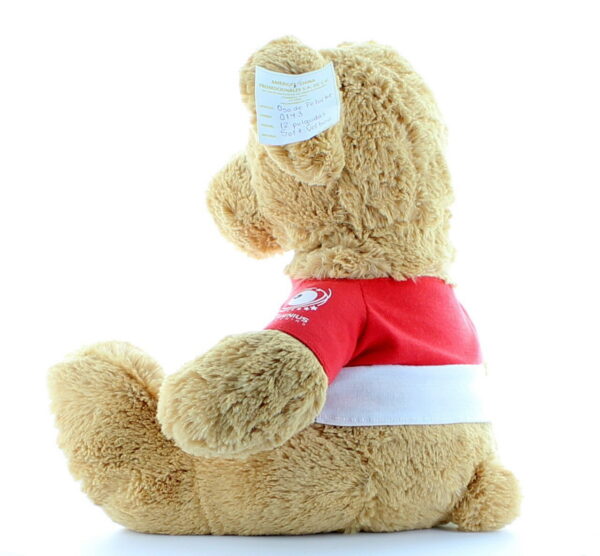 12 INCH Nissan Series Sitting Teddy Bear With Customized T-Shirt - 图片 5