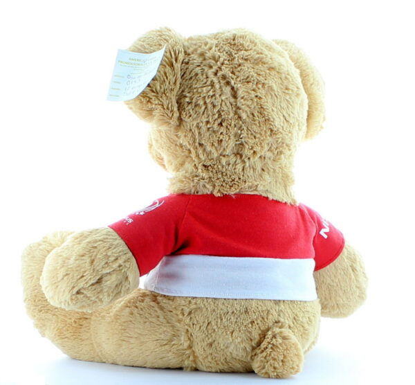 12 INCH Nissan Series Sitting Teddy Bear With Customized T-Shirt - 图片 6